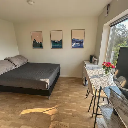 Koselig Studioleilighet Apartment