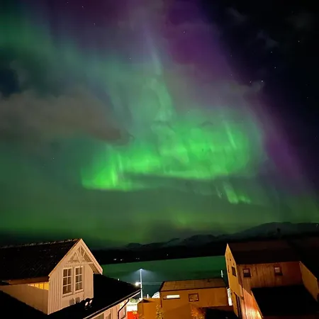 Koselig Studioleilighet Apartmán *